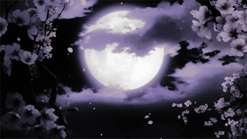 4c352bba35bdc1934659b2d4284d25aa.gif